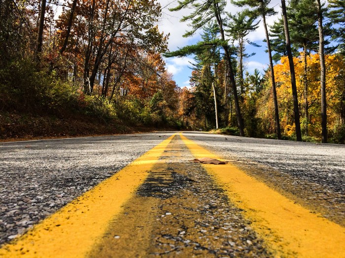 Road with yellow line in autumn forest