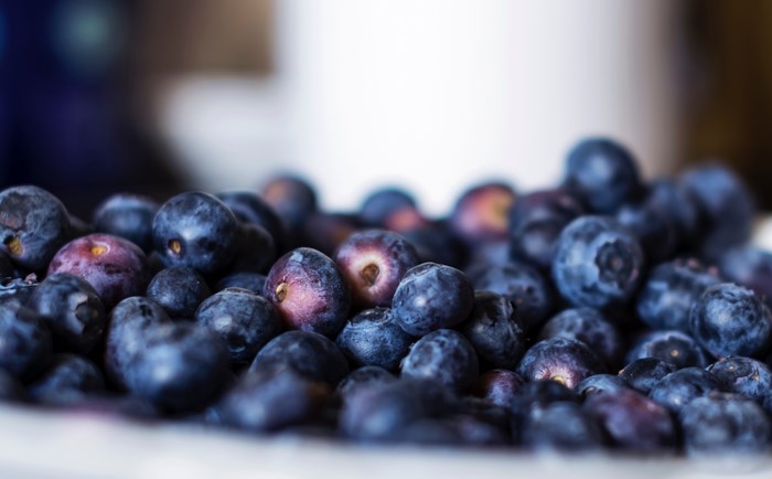Close-up of fresh blueberries in a bowl