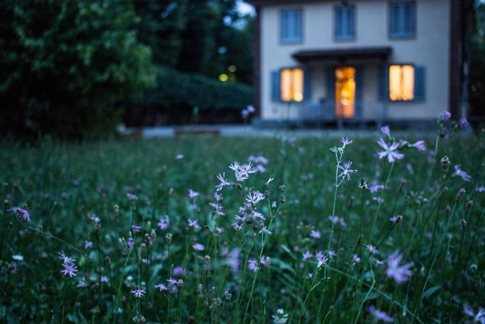 House with illuminated windows at dusk with wildflowers