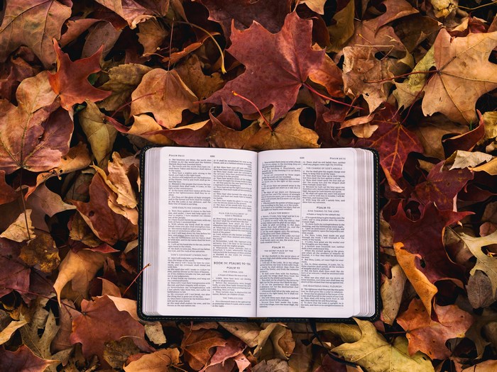 Open Bible on Autumn Leaves