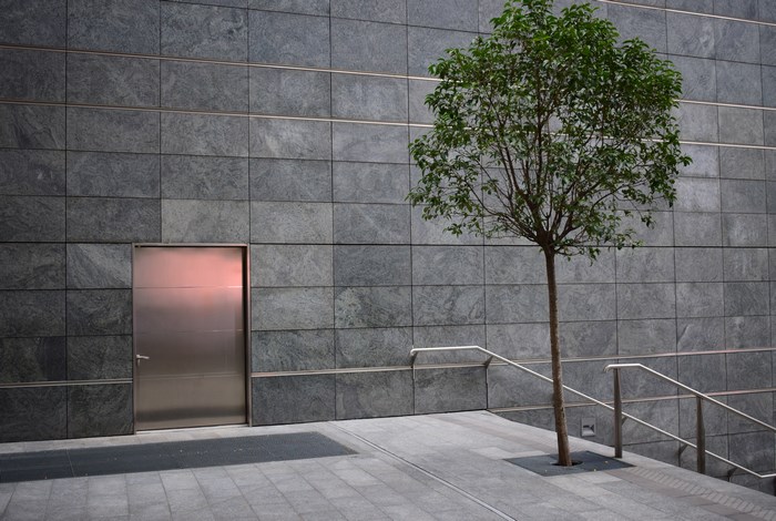 Modern building with metal door and tree