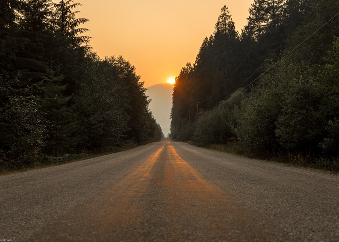 Gravel road through a forest at sunset