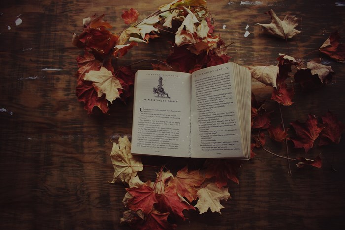 Open Harry Potter book surrounded by autumn leaves