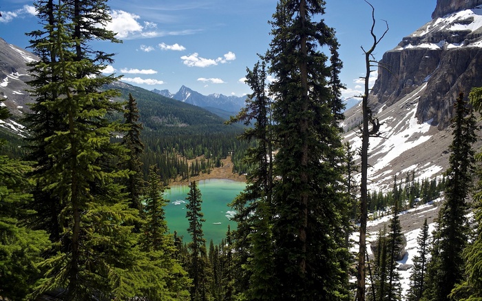 Turquoise lake surrounded by pine trees and snowy mountains