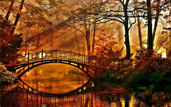 Golden Autumn Bridge Over Calm Water