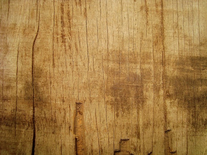 Wood texture with cracks and grain