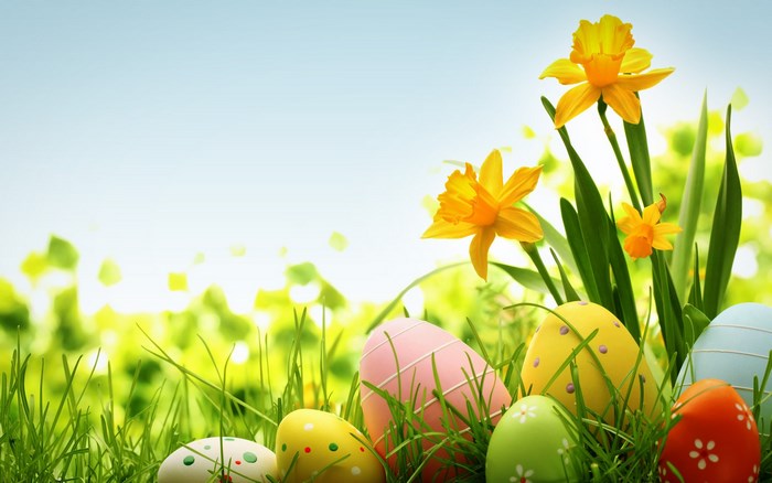 Easter Eggs and Daffodils in Green Grass