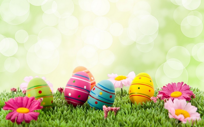 Easter Eggs on Green Grass with Flowers
