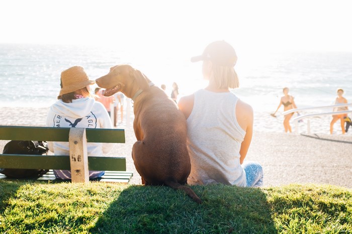 Dog and people on a bench by the sea
