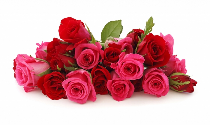 Bouquet of red and pink roses
