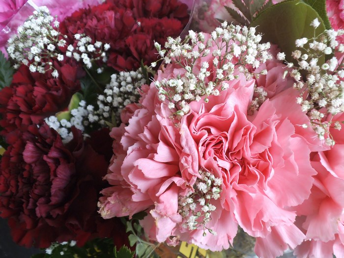 Pink and Red Carnations with Baby's Breath