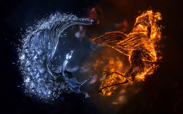 Fire and Water Phoenixes clashing