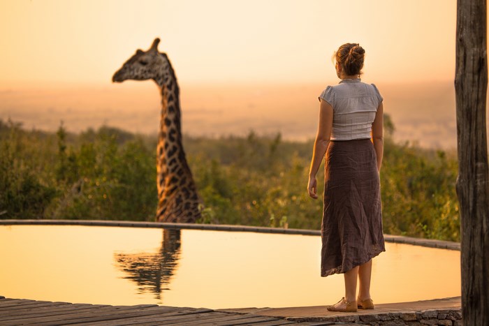 Woman and Giraffe at Sunset by Water