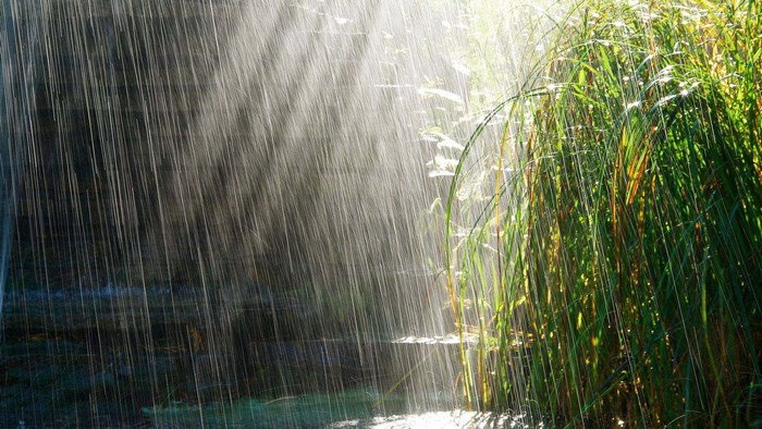 Rain falling on grass and rocks