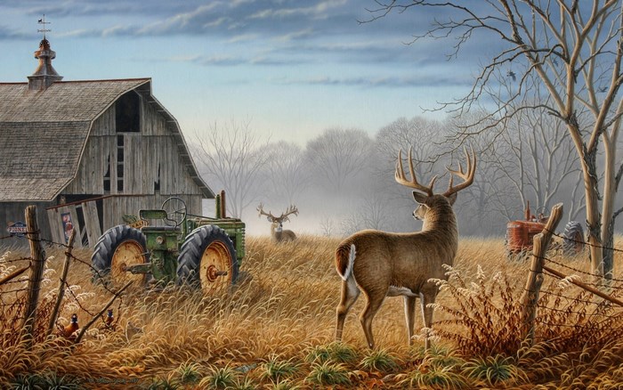 Deer near a barn and tractor