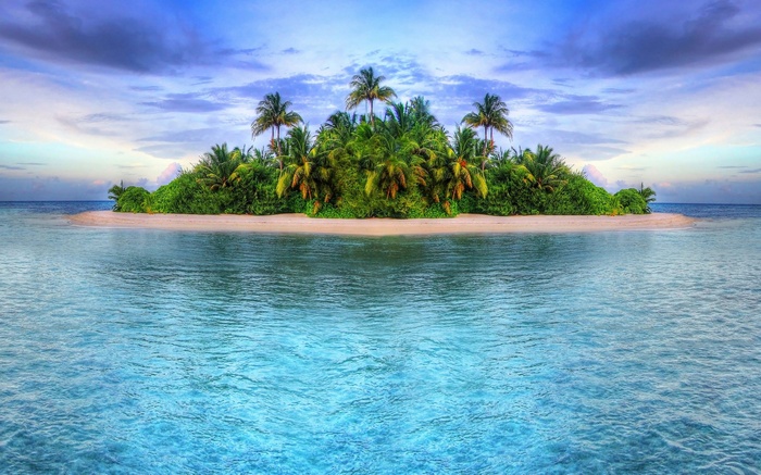 Tropical island with palm trees and turquoise water