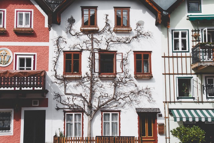 Traditional Austrian houses with a creeper vine in Hallstatt