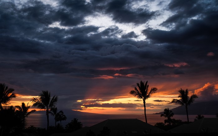 Sunset over the ocean with palm trees in Hawaii