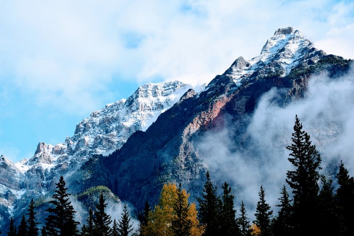 Snow-capped mountains shrouded in fog with pine trees