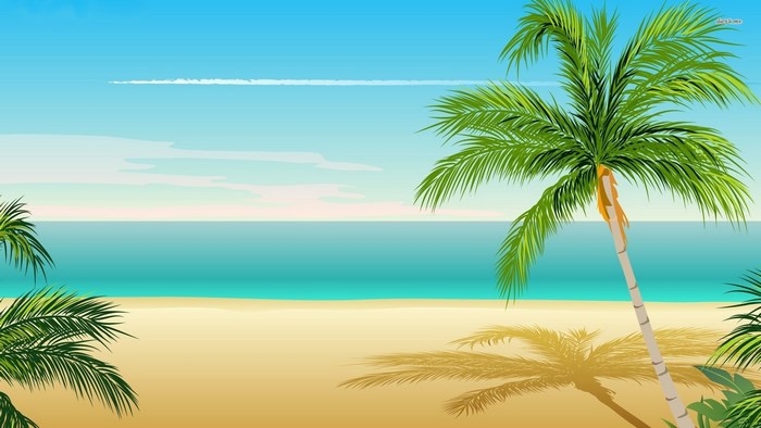 Palm trees on a sandy beach by the ocean