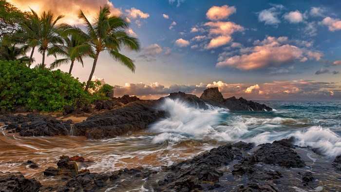 Hawaii Coastline with Palm Trees and Waves
