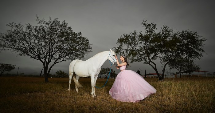 Woman in pink dress with white horse in field