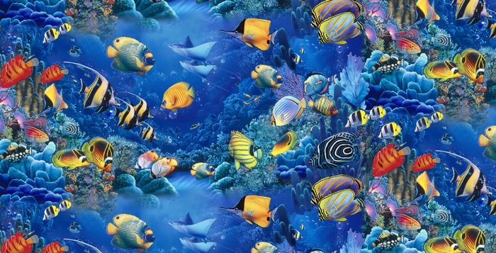 Colorful fish and coral reef underwater scene
