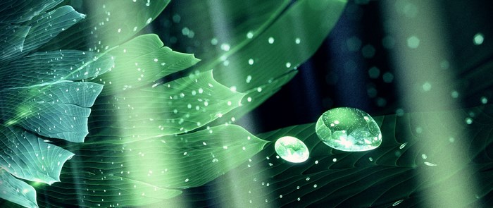 Glowing Fractal Leaves with Dew Drops
