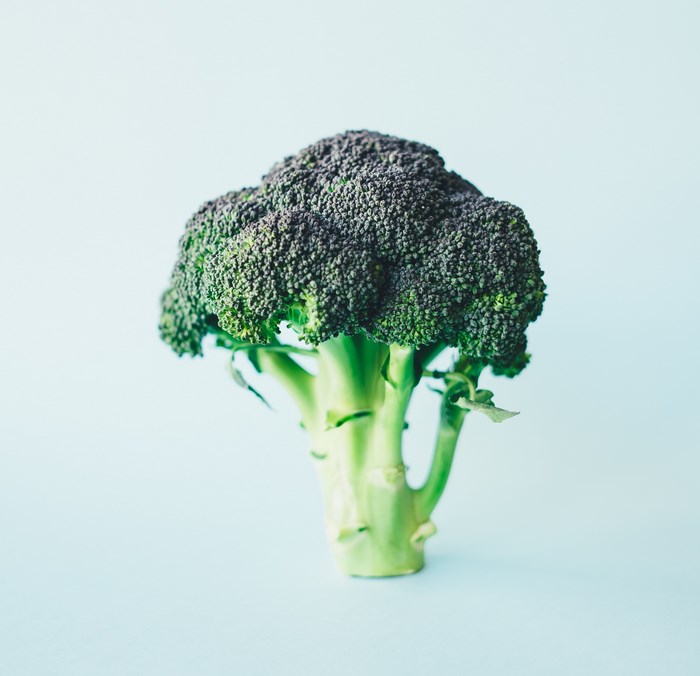 A single head of broccoli on a light blue background