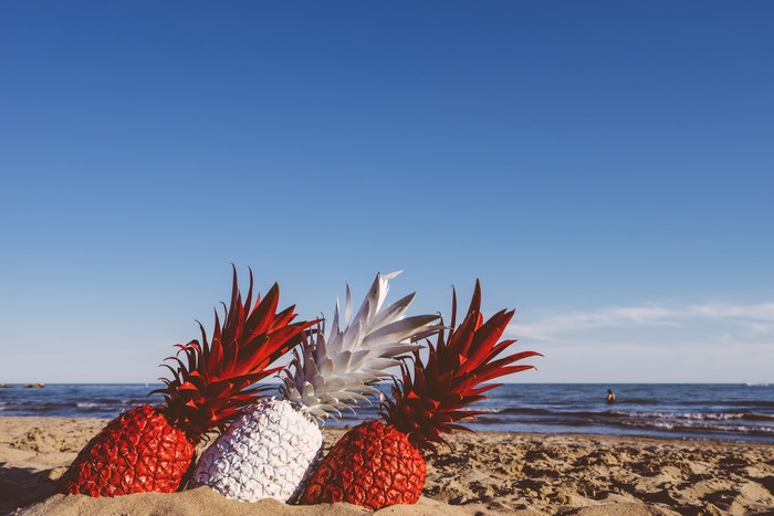 Red and white pineapples on a sandy beach