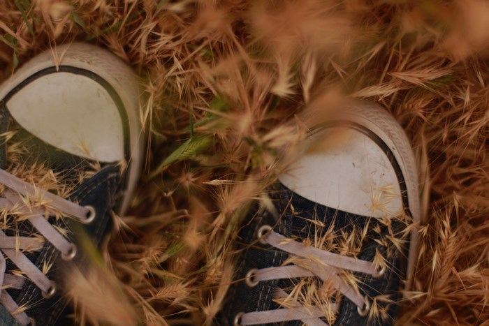 Converse sneakers in dry grass