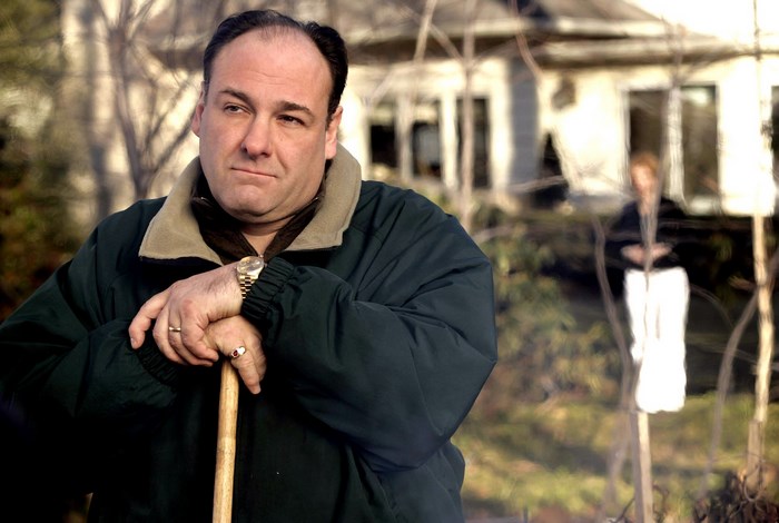 Tony Soprano from The Sopranos
