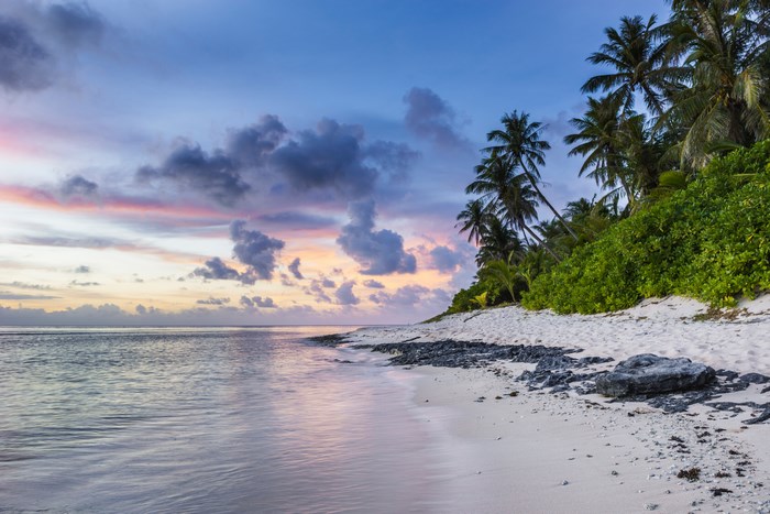 Sunset over Tropical Beach with Palm Trees