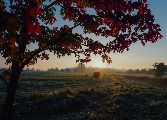 Sunrise Over Rural Autumn Landscape with Tree