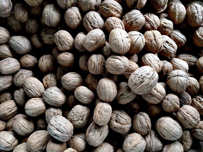 A large collection of dry walnuts