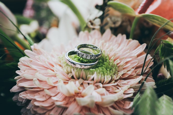 Elegant Wedding Rings on Soft Pink Flower