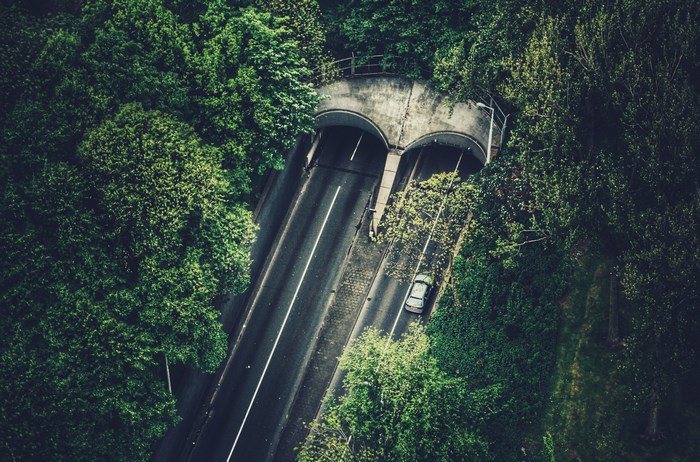 Road passing through a tunnel surrounded by trees