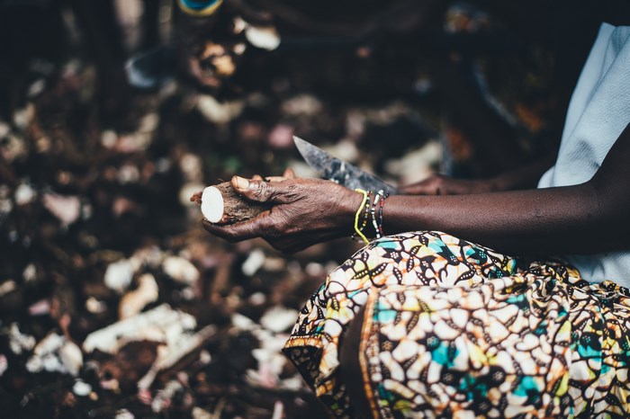 Person preparing cassava with a knife