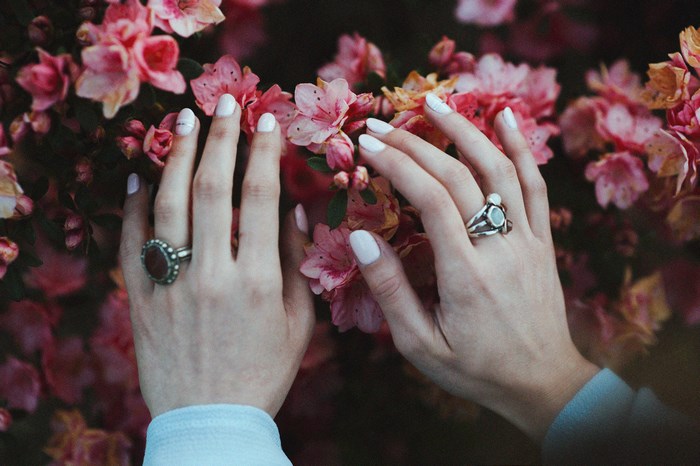 Woman's hands with rings touching pink flowers
