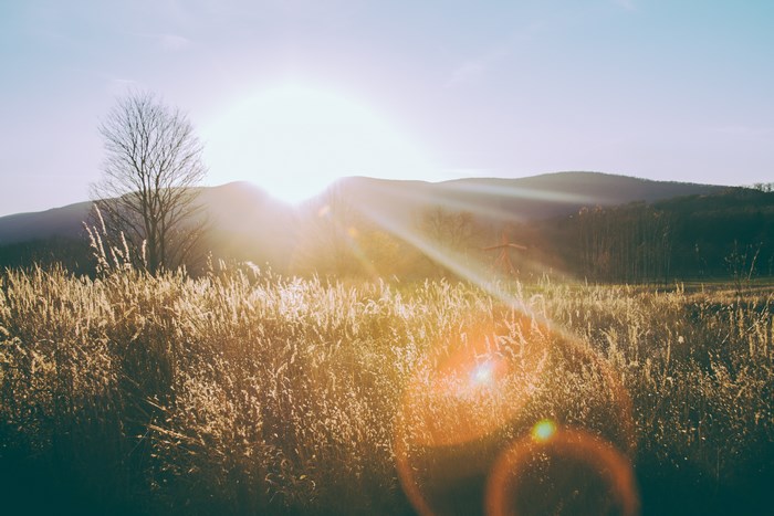 Sunrise Over Tall Grass and Mountain Hills