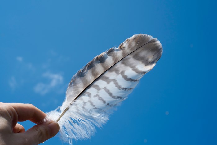 Hand holding a hawk feather against a blue sky
