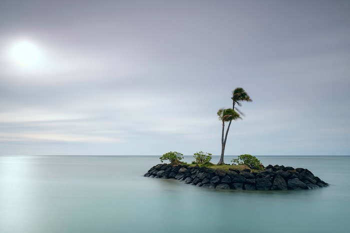 Long exposure of palm trees on a rocky island in Hawaii