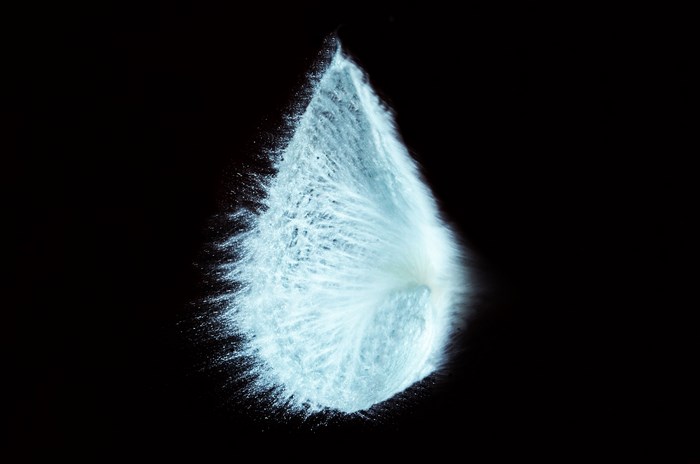 Water balloon bursting in abstract shape