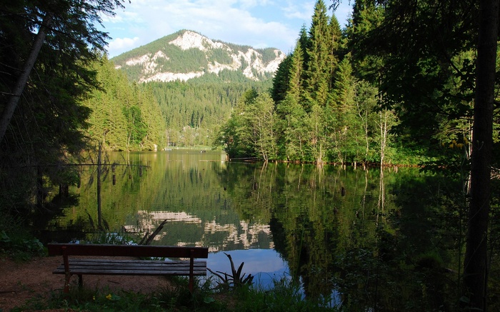 Bench by a forest lake with mountain reflection