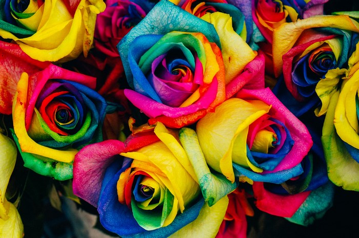 Vibrant Rainbow-Colored Roses Bouquet