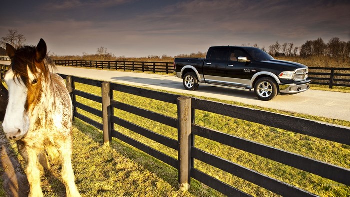Horse and Dodge Ram 1500 Truck on Rural Road