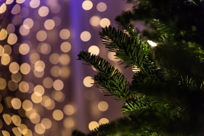 Christmas Tree Branch with Festive Bokeh Lights