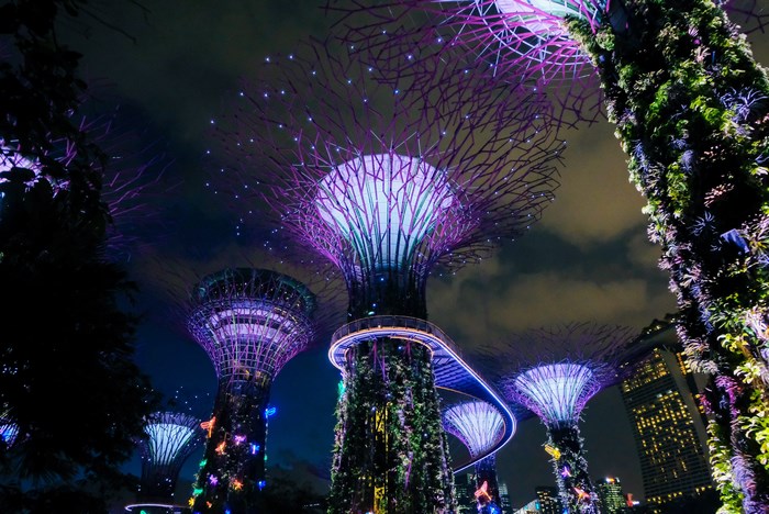 Illuminated Supertrees at Gardens by the Bay in Singapore
