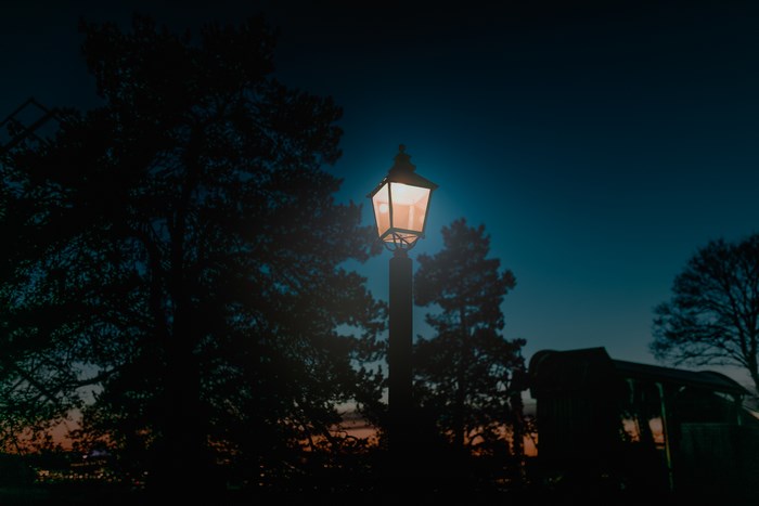 Streetlight at dusk with trees and sky