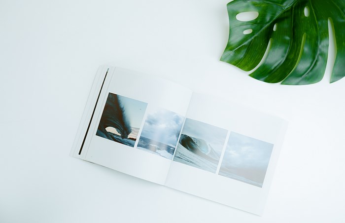 Open Book with Ocean Wave Photos and Green Leaf